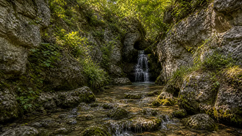 Borta Boierului