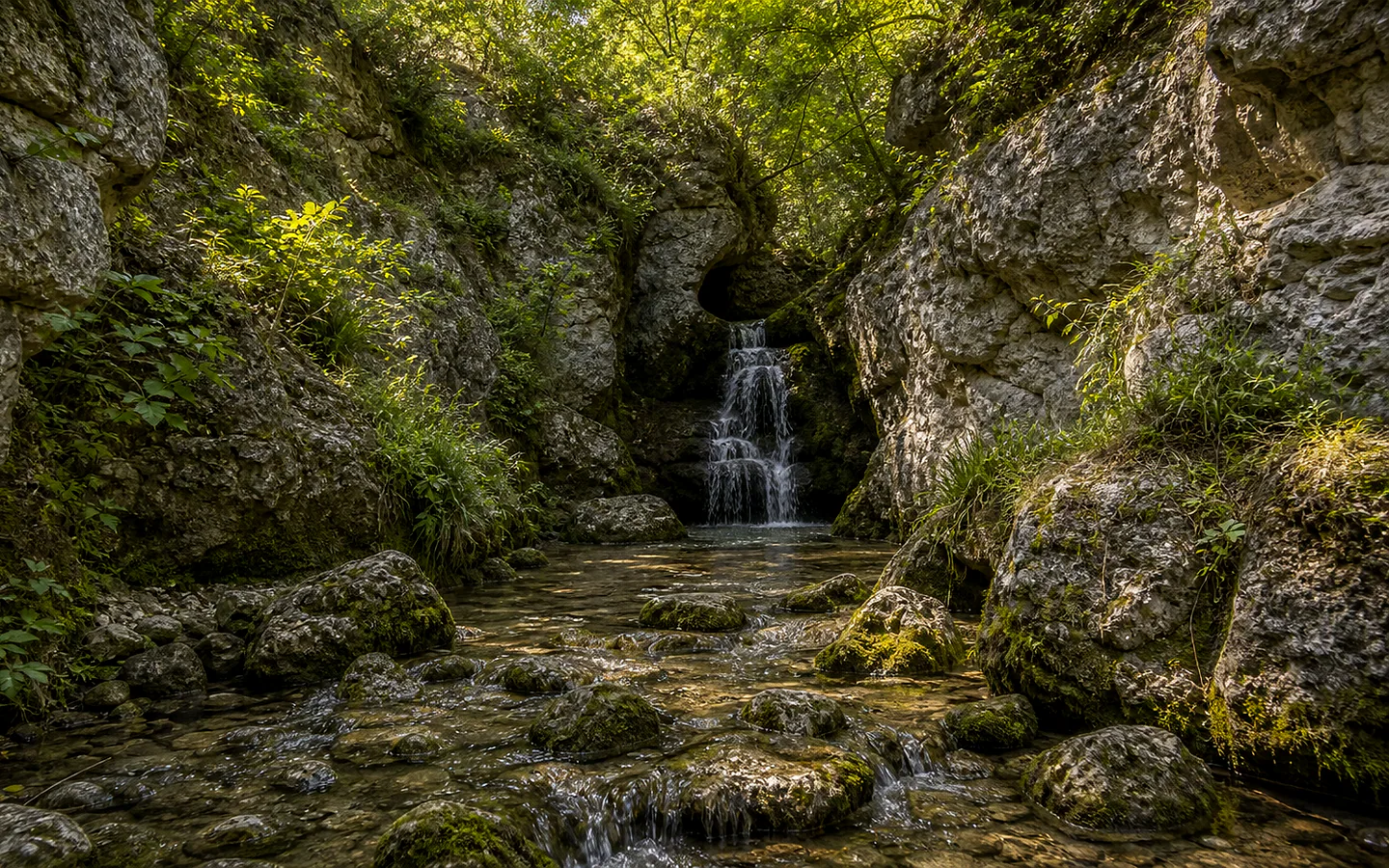 Borta Boierului
