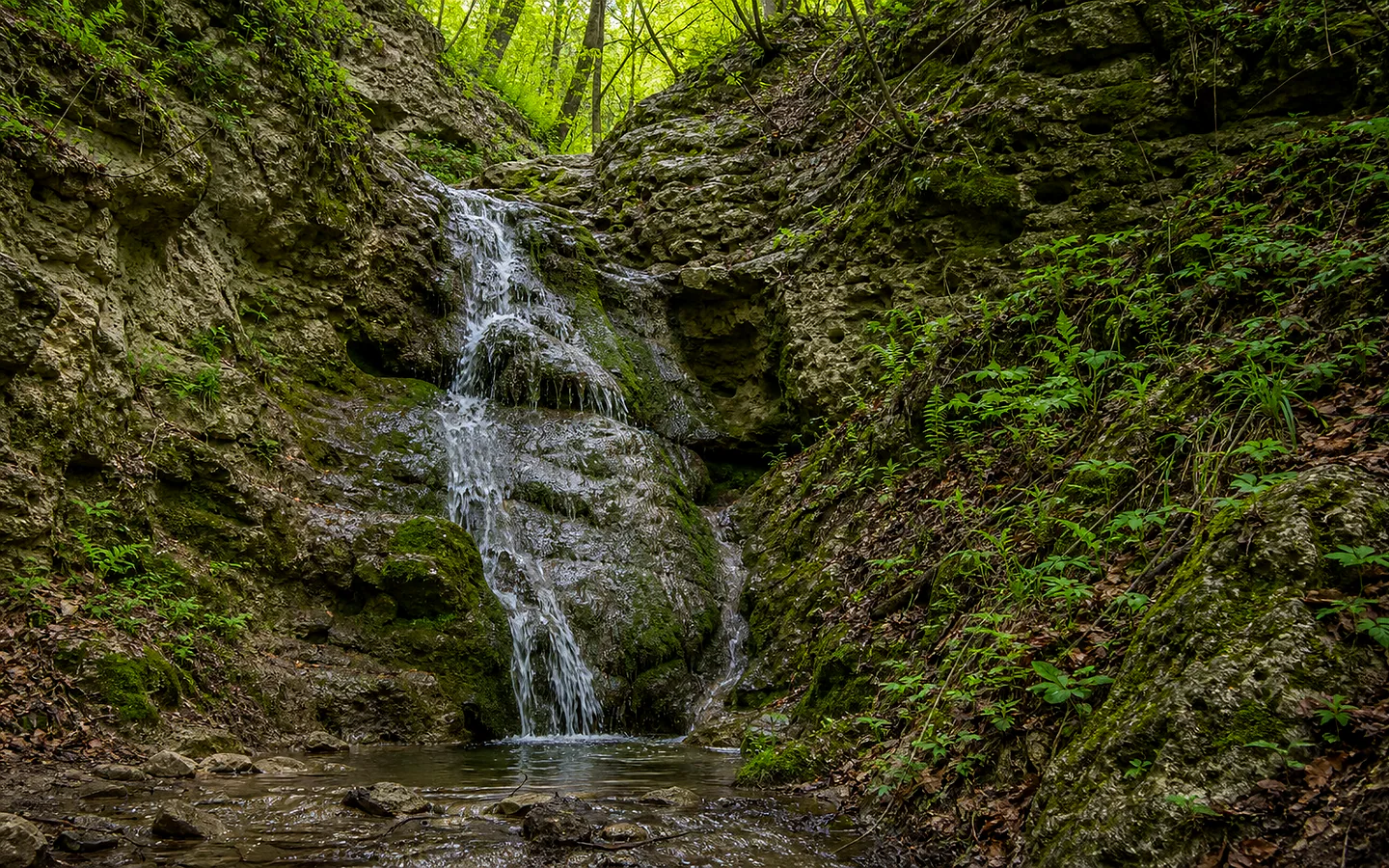 Cascada dublă
