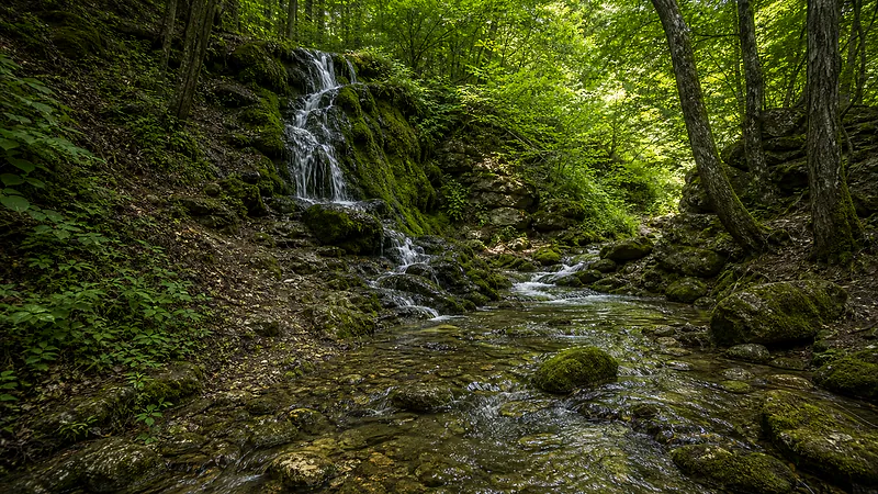 Cascada Orașul Păsărilor