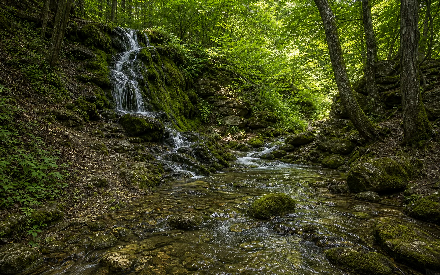 Cascada Orașul Păsărilor
