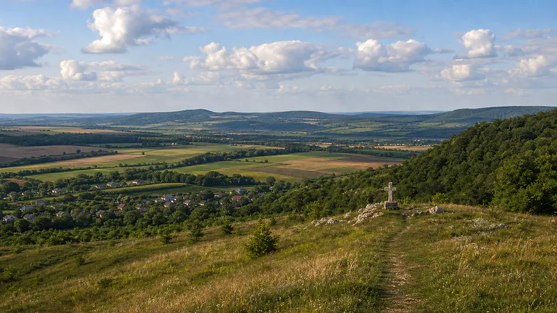 Dealul Mănăstirii