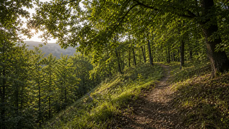 Dealul Veverița