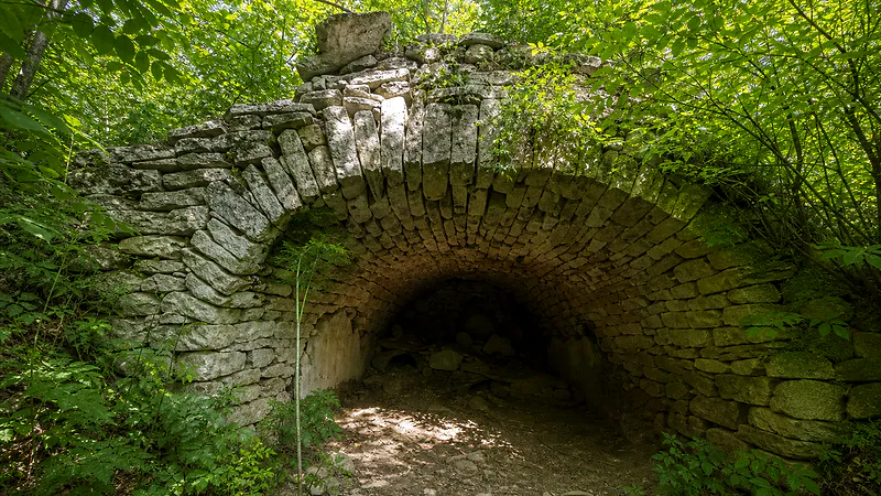 Grote, Roșietici