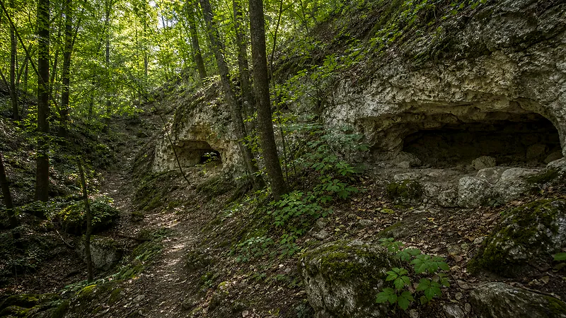 Grote, Roșietici