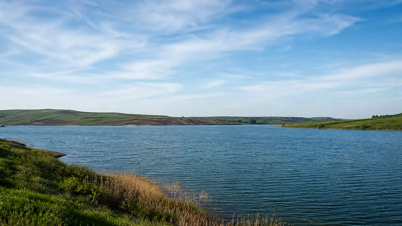 Костештское водохранилище