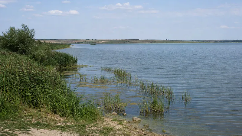 Кучурганское водохранилище