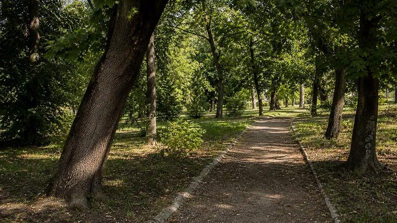 Парк в селе Милешть, Ниспорень
