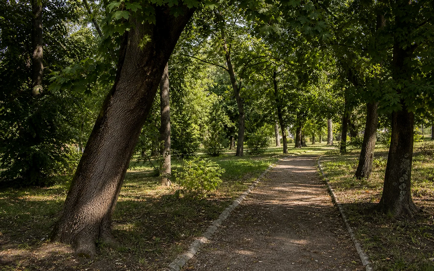 Парк в селе Милешть, Ниспорень
