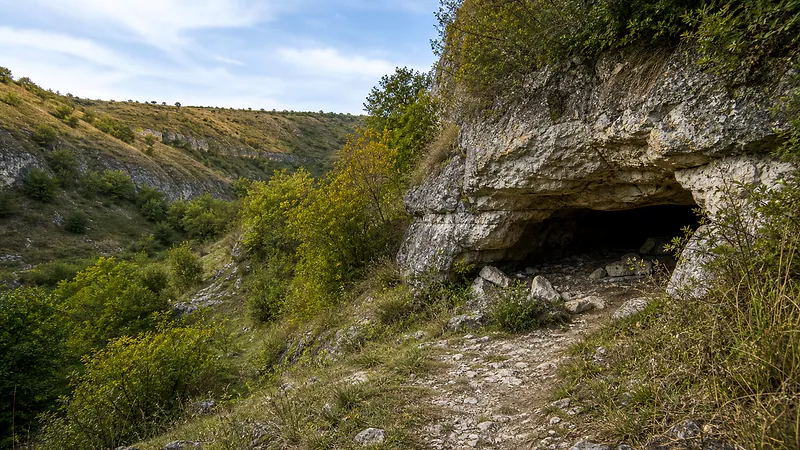 Peștera Borta Ciuntului