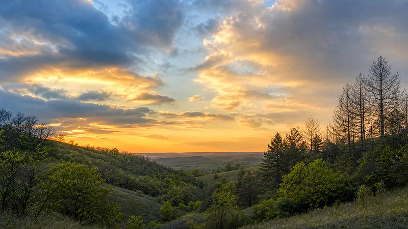 Rezervația naturală „Molești–Răzeni”