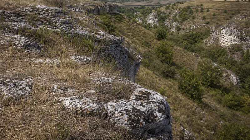 Ущелье в толтрах у села Берлинць, Бричень