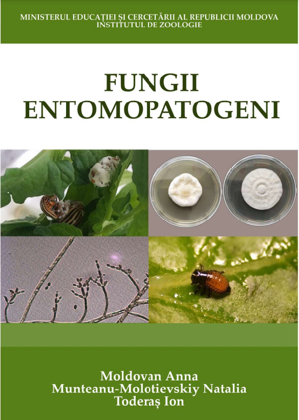 Fungi enomopatogeni coperta